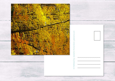 Printable Minnesota Fall Foliage Postcard by Jeanetta Richardson