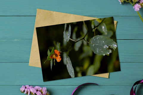 Printable Rain Flower Greeting Card by Jeanetta Richardson