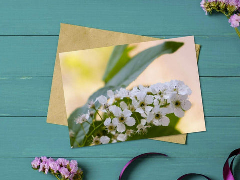 Printable Spring Blossom Greeting Card 