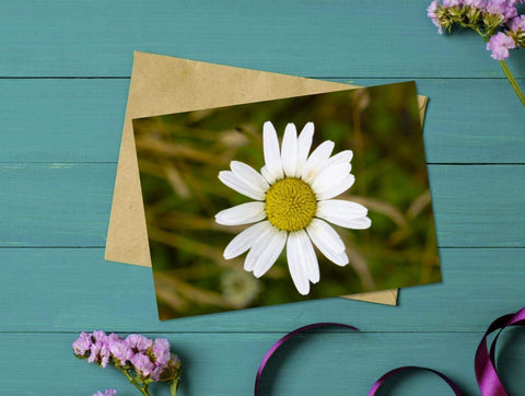 printable daisy flower greeting card