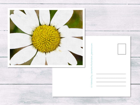 Printable Spring Daisy Postcard by Jeanetta Richardson